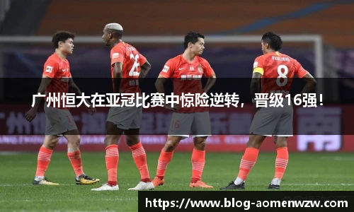 王中王官网资料