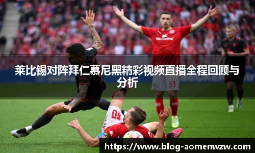 王中王资料大全